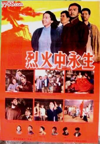 农村在办不动产权证是什么样子